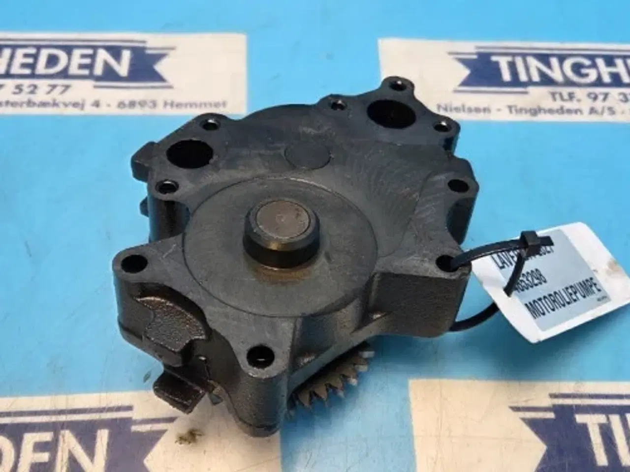 Billede 11 - Iveco 8361 SRE 11 Oliepumpe 4853298