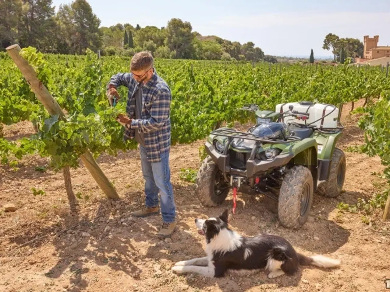 Billede 4 - Yamaha Kodiak 450 EPS Traktor