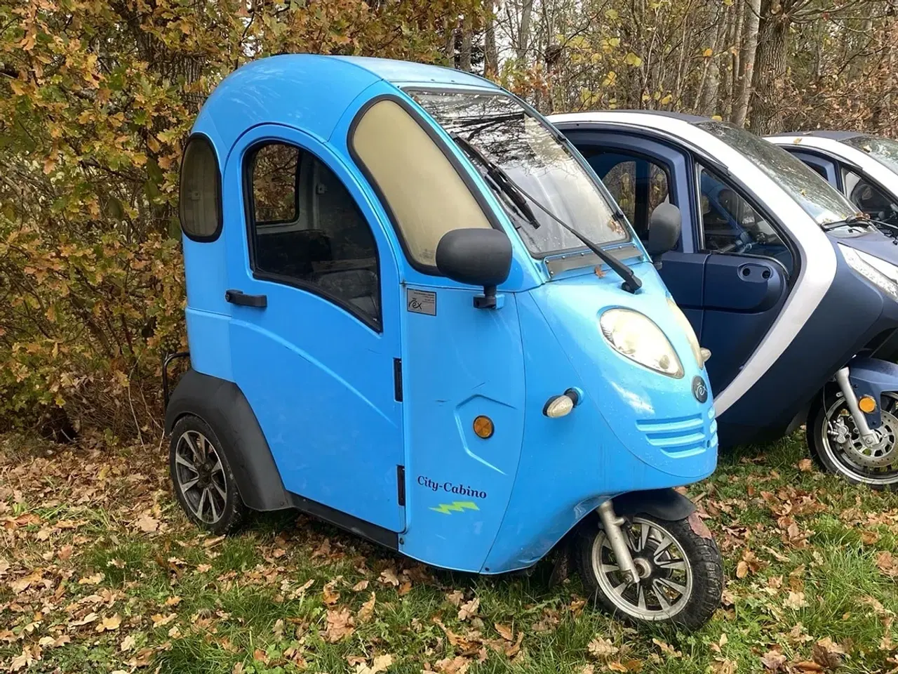 Billede 1 - Rex Cabino blå