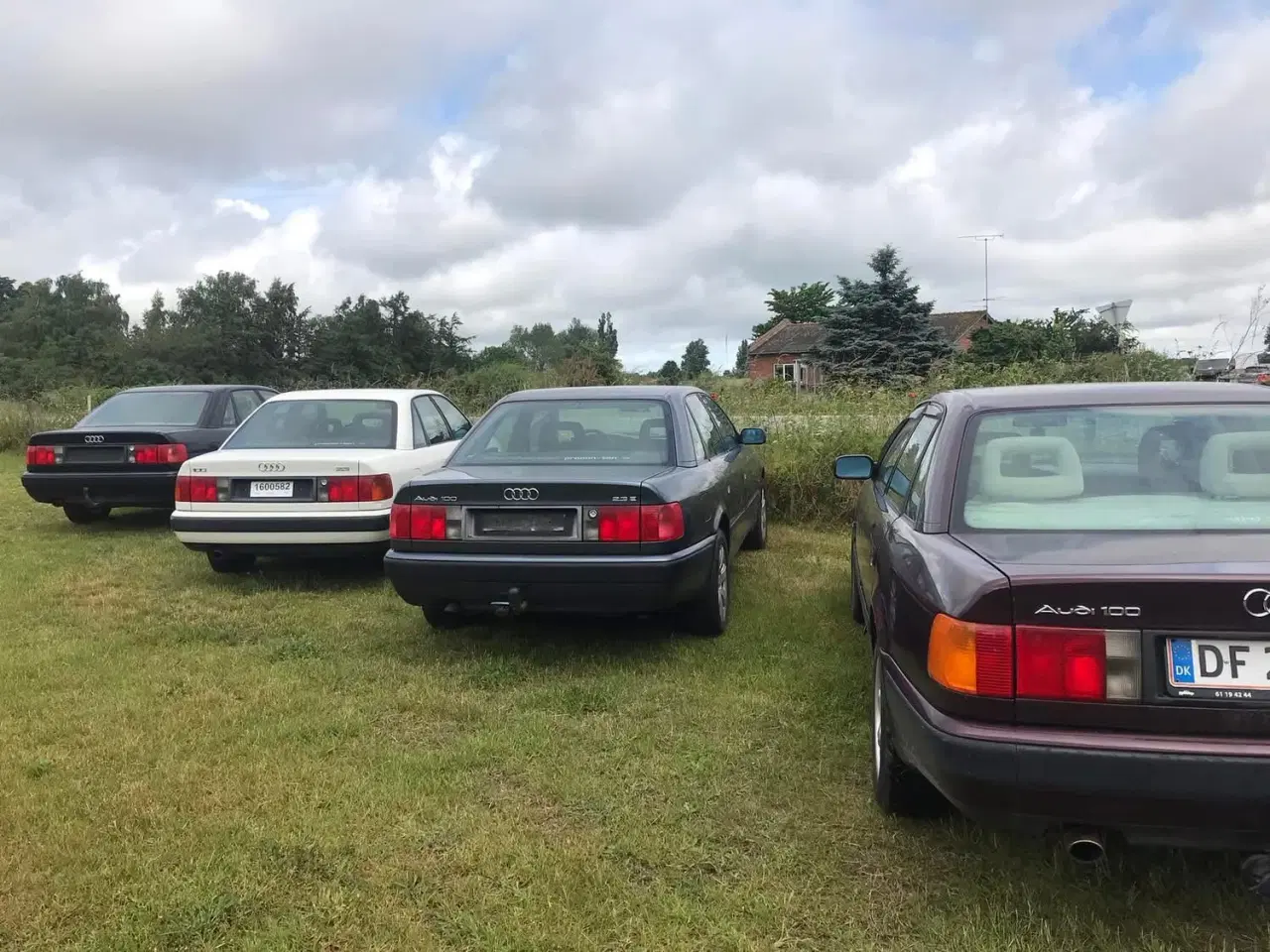 Billede 1 - Veteran Audi 100