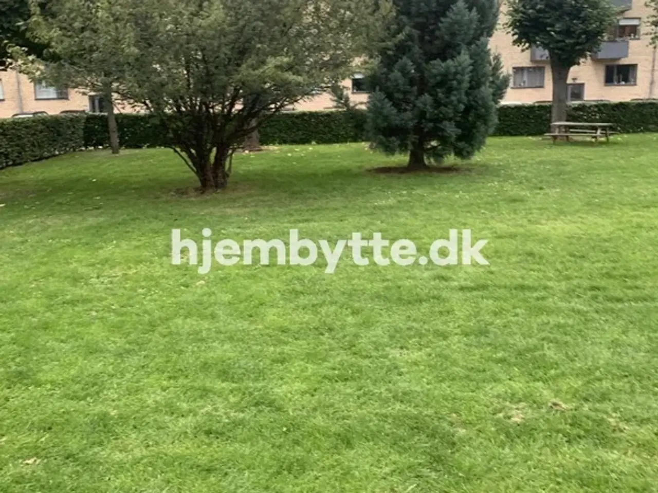 Billede 12 - Hjembytte - Bobakken