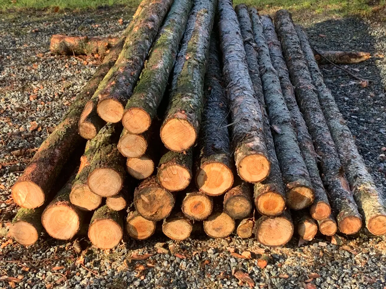 Billede 1 - Lærkestolper