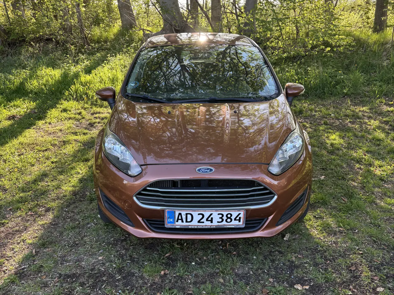 Billede 2 - FORD FIESTA 1.0 EcoBoost