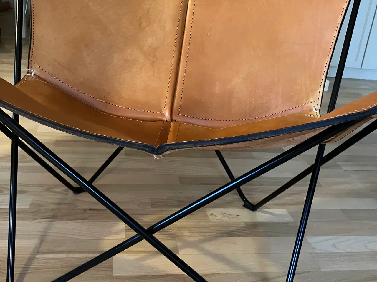 Billede 2 - Flagermusstole 