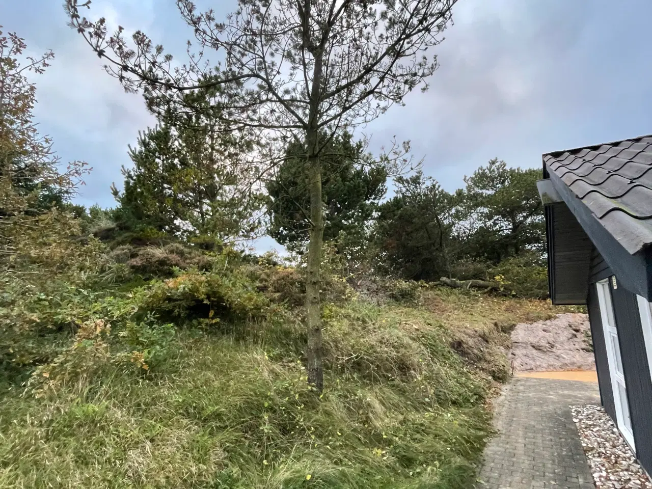 Billede 5 - GRATIS fine herregårdsten bortgives ved afhentning