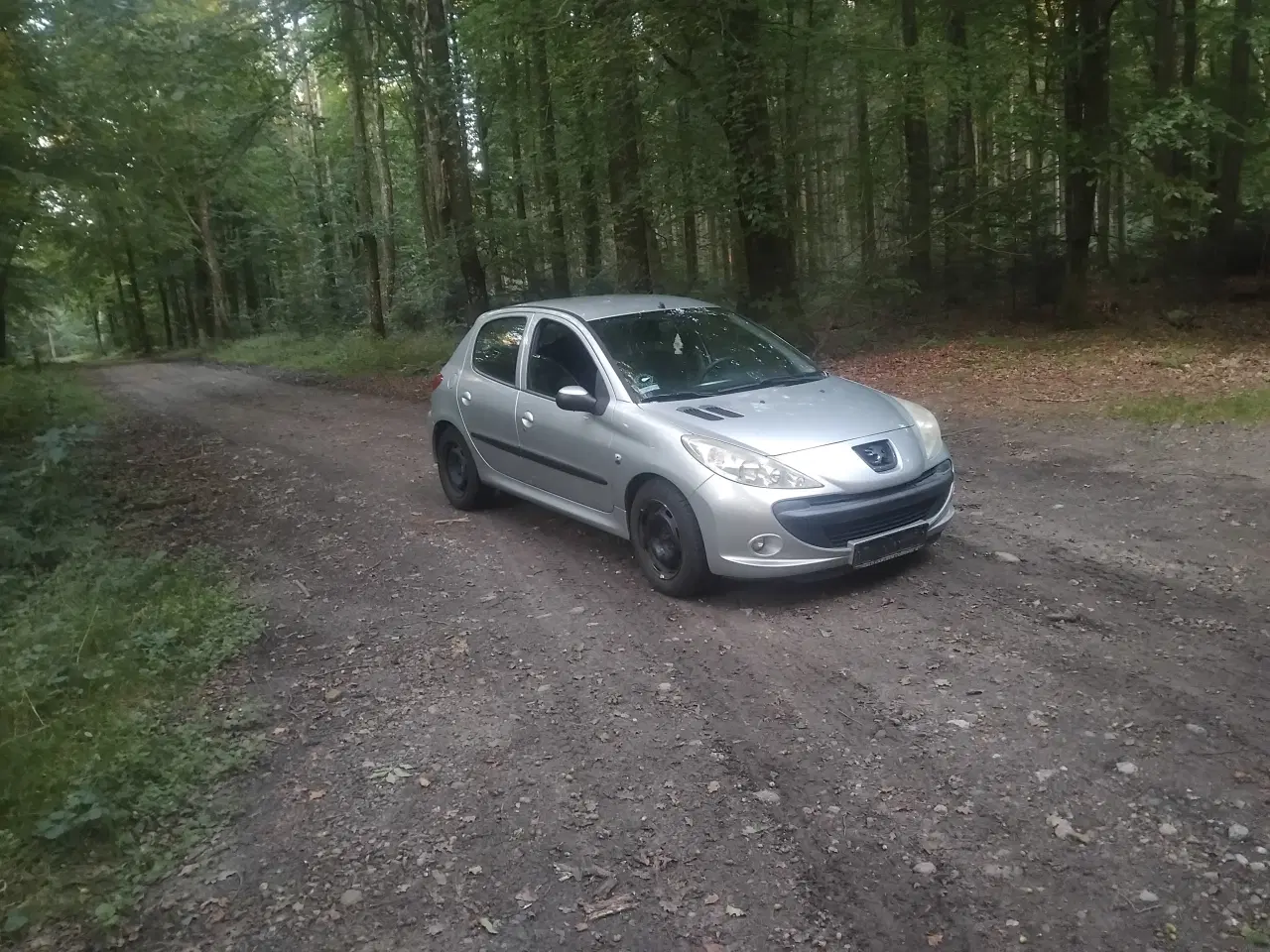 Billede 2 -  peugeot 206+ med partikelfilter 