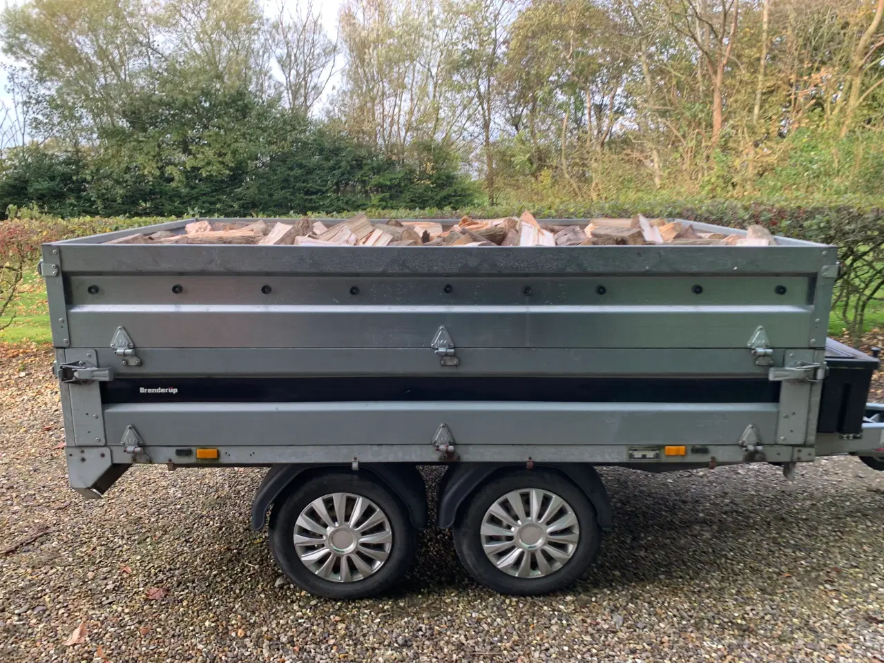 Billede 2 - Blandet løvtræ pr. Kassemeter 600