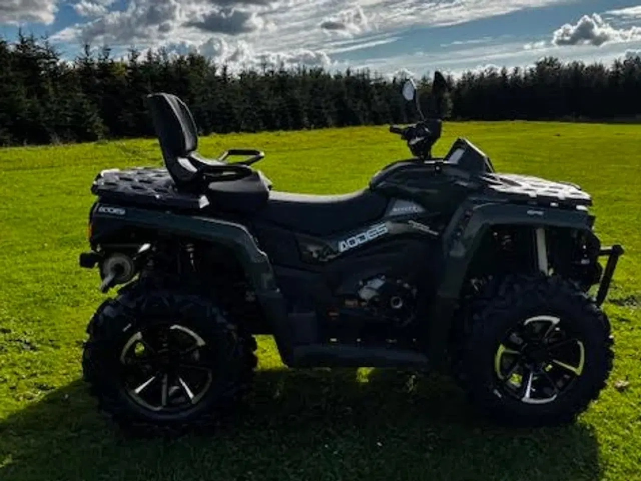 Billede 3 - Aodes PathCross 650 L T3A Traktor