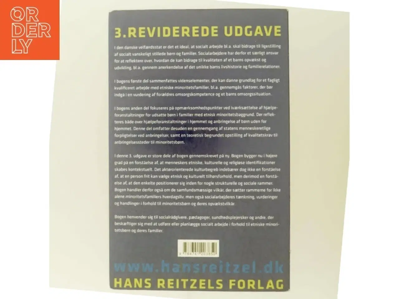 Billede 3 - Etniske minoritetsfamilier og socialt arbejde af Marianne Skytte (Bog)
