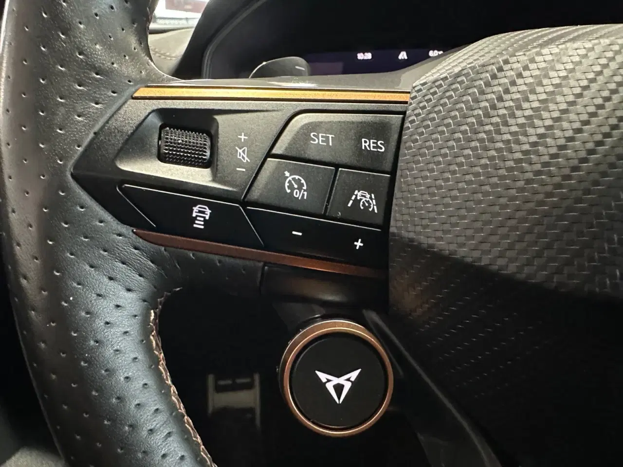 Billede 9 - Seat Formentor 2,0 TSi 310 Cupra VZ DSG 4Drive Van