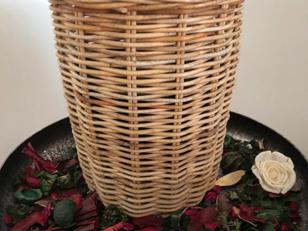 Billede 8 - Stor Cedertræ .Middelfart 