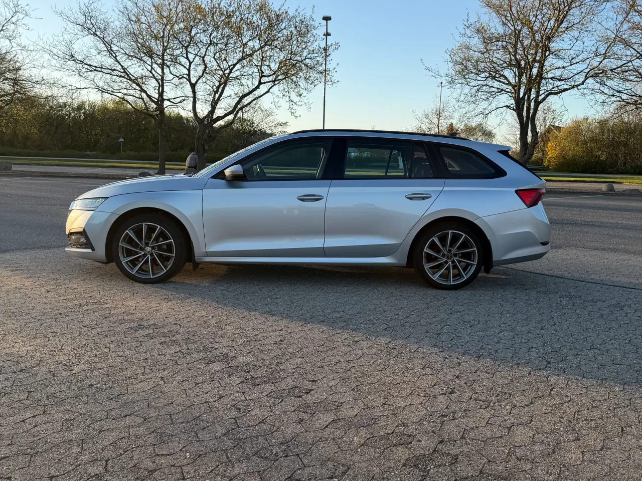 Billede 7 - Skoda Octavia IV 2,0 TDI 150 DSG – 29 km/l – Sving