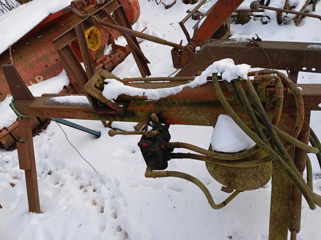 Billede 2 - Brændekløver