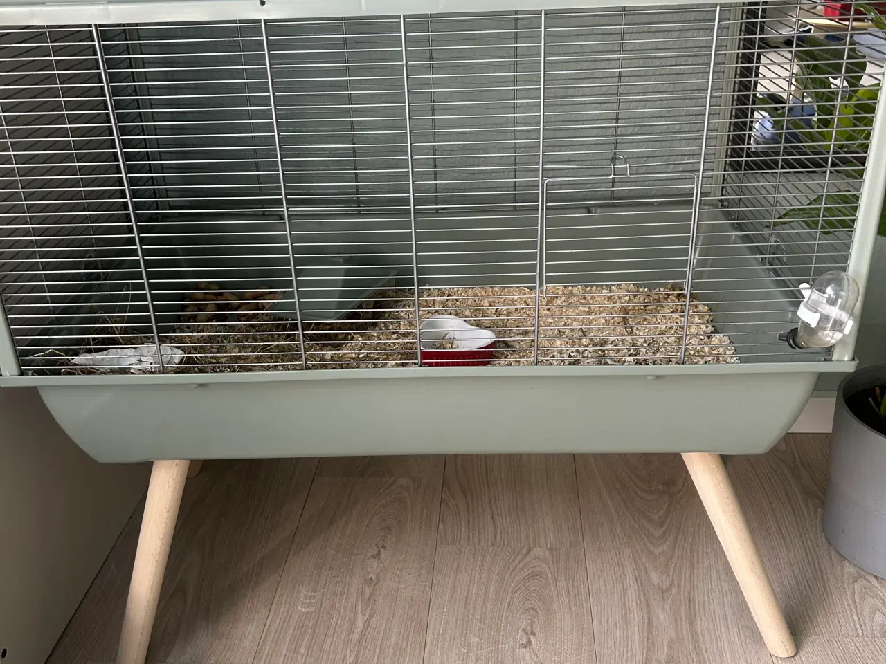 Billede 2 - Guldhamster + bur