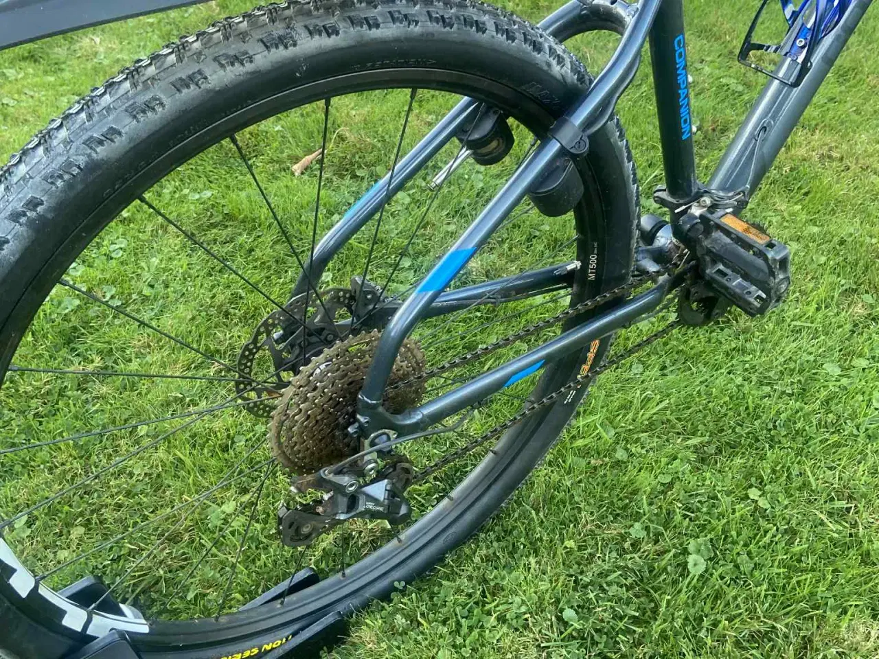 Billede 4 - 2024 - 29" MTB Companion 1.0 Medium