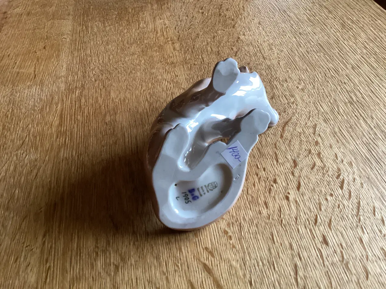 Billede 5 - BG siddende Ræv