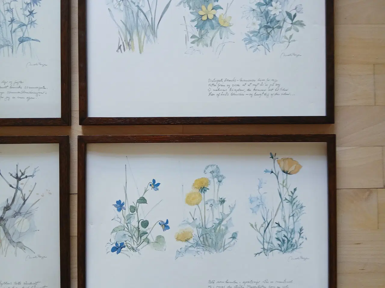Billede 3 - Mads Stage Årets gang i blomster Litografier 
