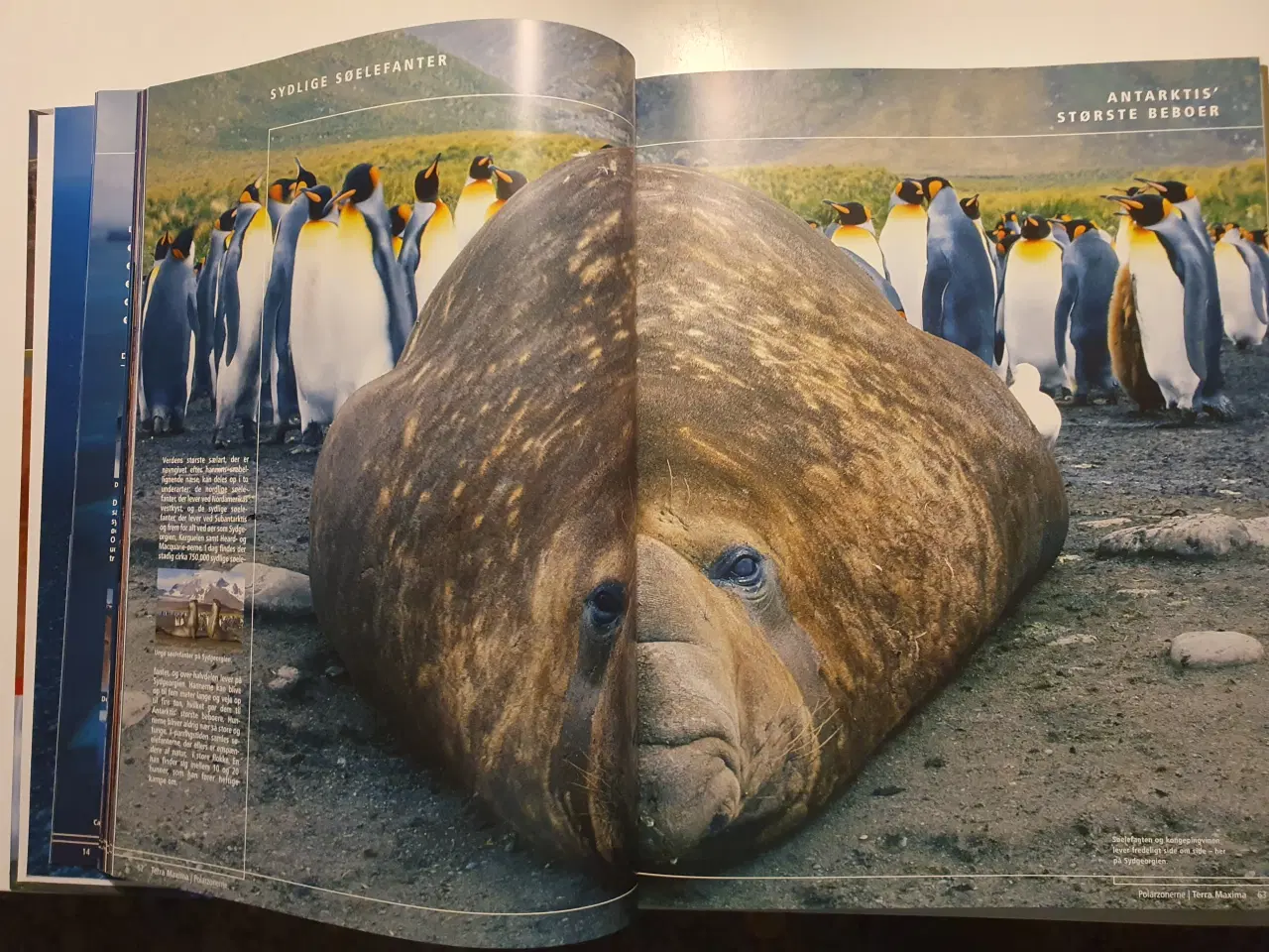 Billede 3 - Naturens Rekorder. Vores fantastiske verden 