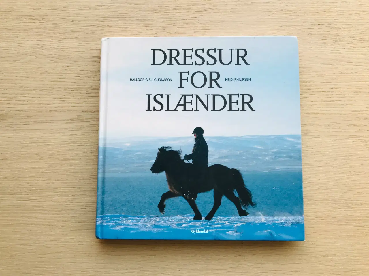 Billede 1 - Dressur for Islænder 