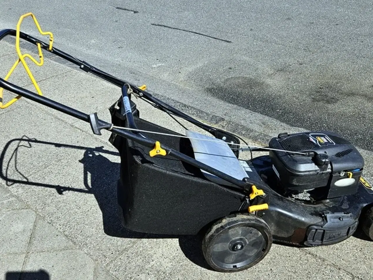 Billede 1 - Alpina rotorklipper med B&S motor. 