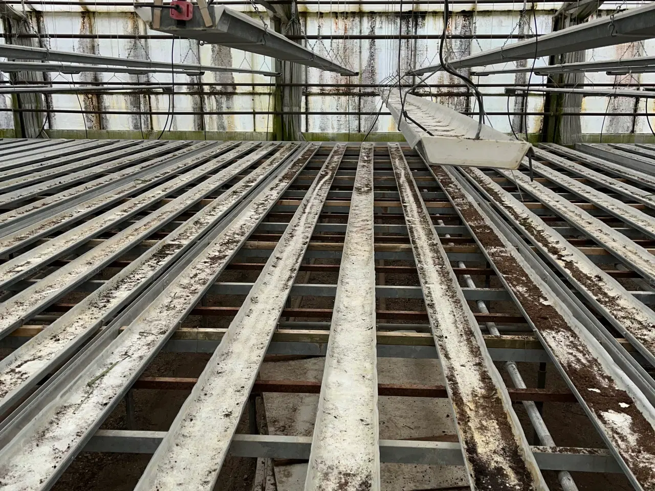 Billede 1 - Planterender til drivhus/orangeri