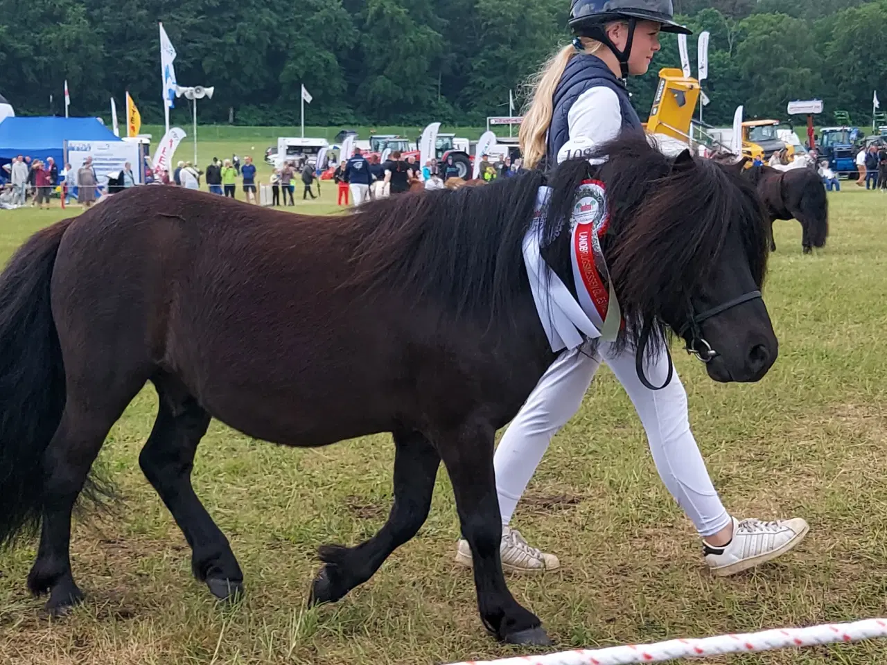 Billede 6 - Kåret Show pony