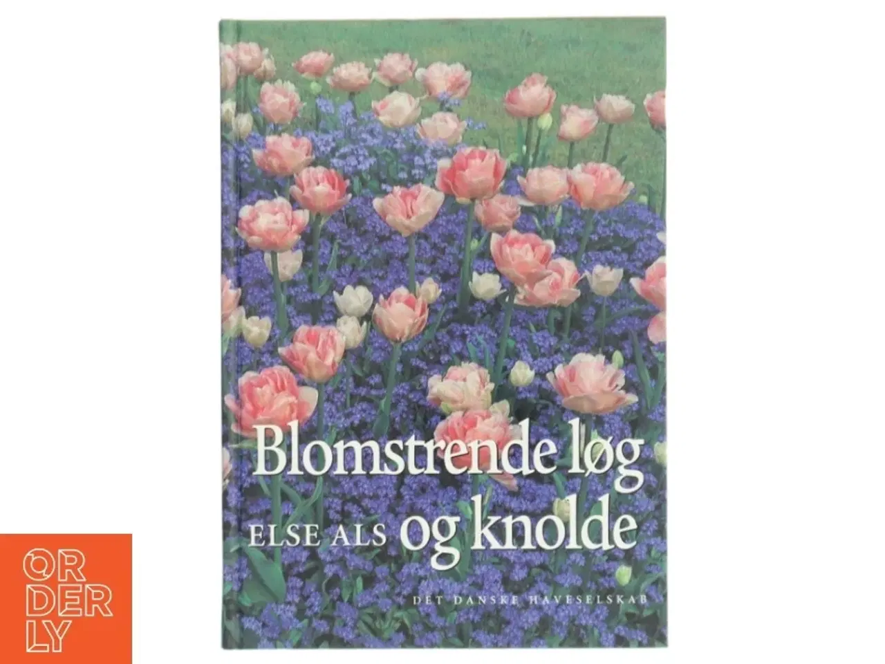 Billede 1 - Blomstrende løg og knolde af Else Als (Bog)