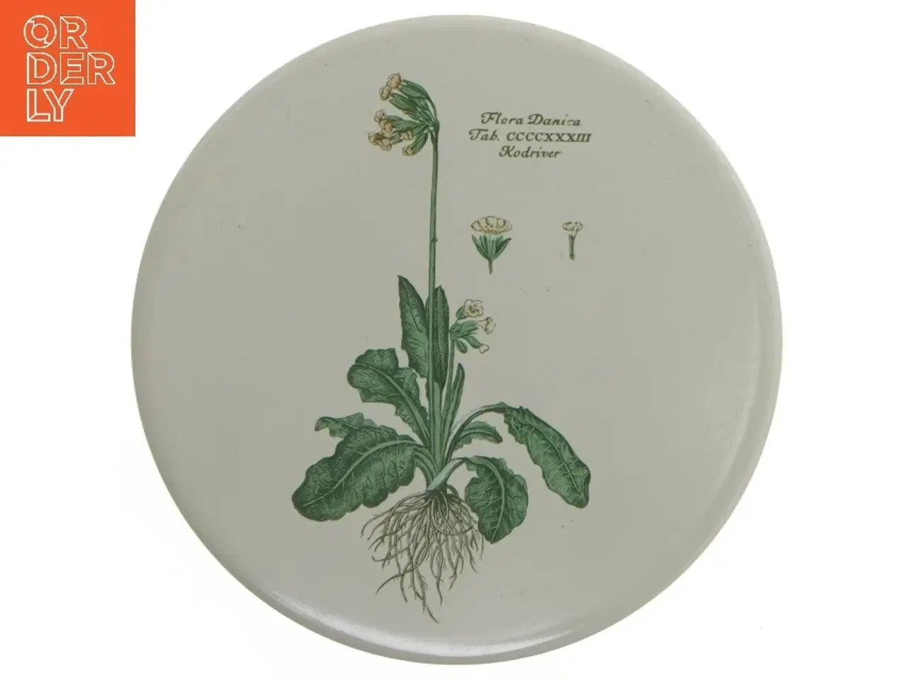 Billede 1 - Dekorativ tallerken med blomsterillustration fra H & R Johnson (str. Ø 15 cm)