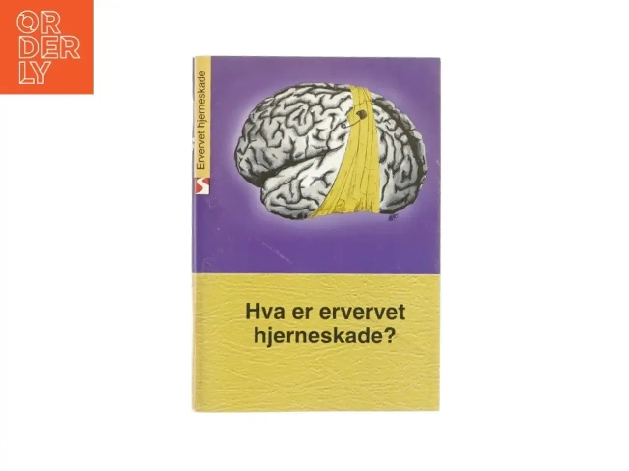Billede 1 - Hva er ervervet hjerneskade? (bog)