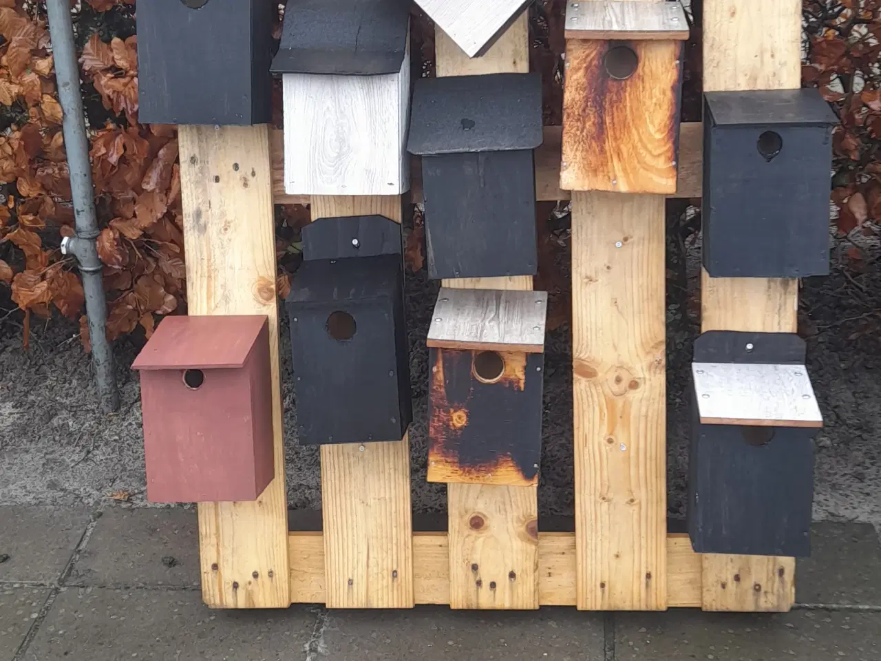 Billede 7 - Forår : det er tid at hænge redekasser op .