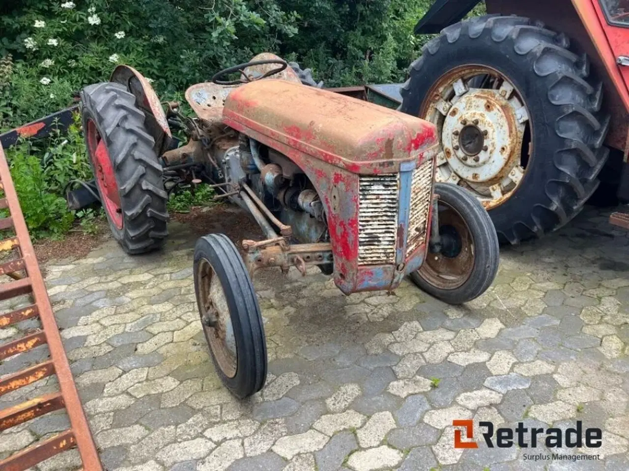 Billede 3 - Massey Ferguson Oldtimer