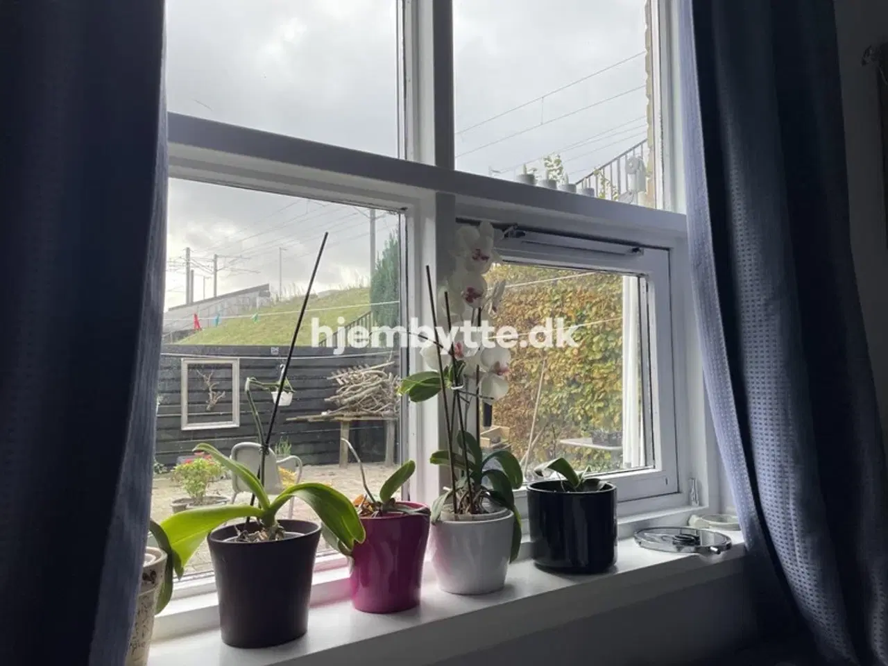 Billede 1 - Hjembytte - Bryggergården