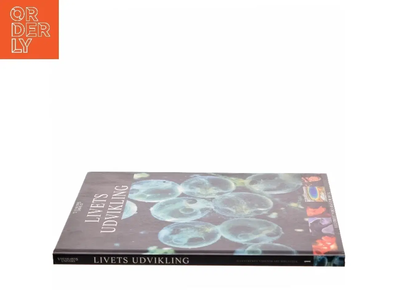 Billede 2 - Livets udvikling (Bog)