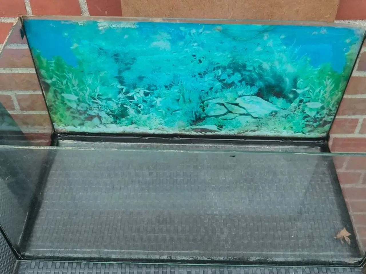 Billede 2 - 54 liters akvarie