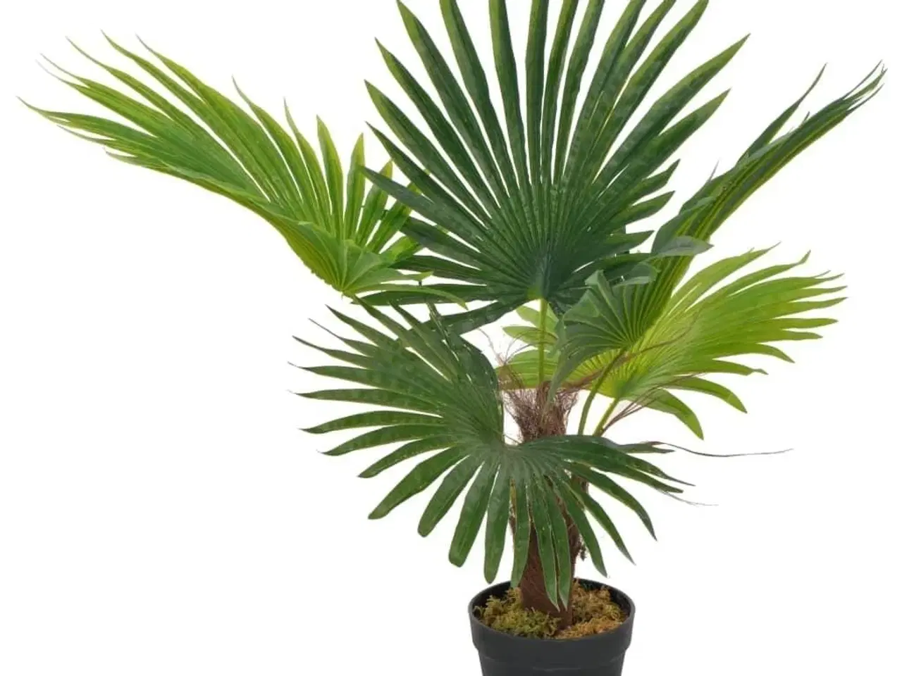 Billede 1 - Kunstig palmeplante med potte 70 cm grøn