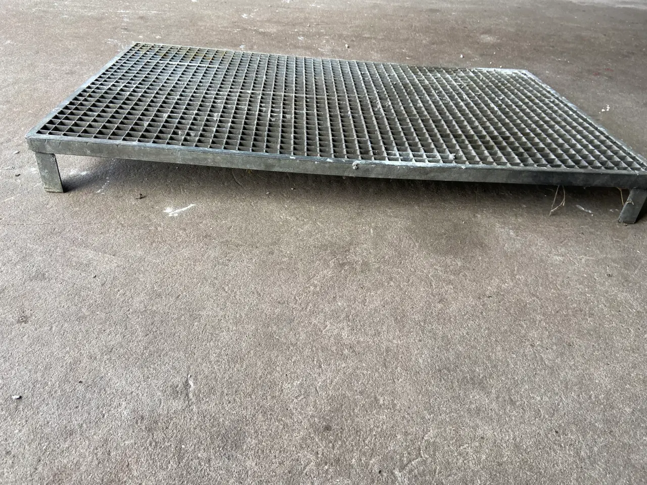 Billede 2 - Elefant rist