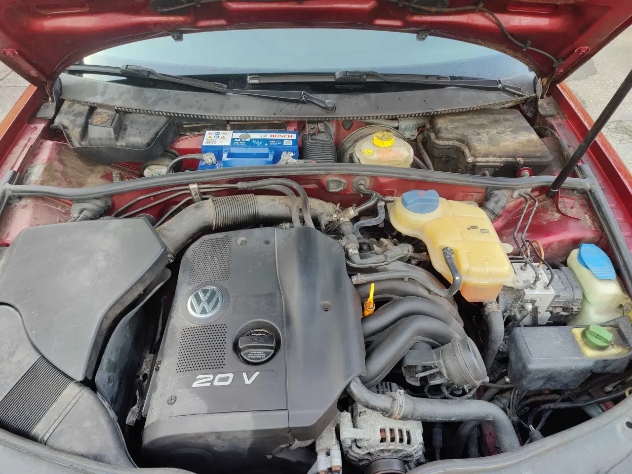 Billede 9 - Den tidligere ejer havde den i 20år