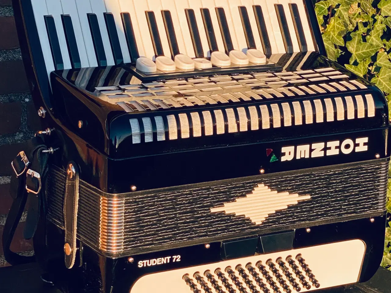 Billede 10 - Hohner Student 72 – allround harmonika sælges fra 