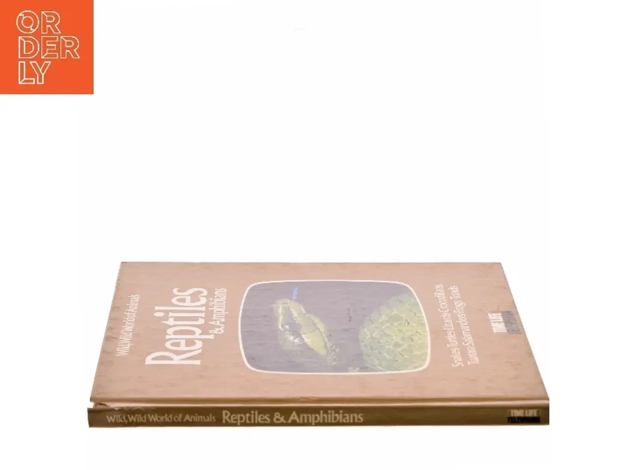 Billede 2 - Reptiles & Amphibians (Bog)