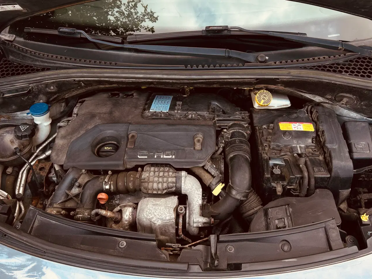 Billede 7 - Citroen DS3 e-hdi 92hk 28km/l