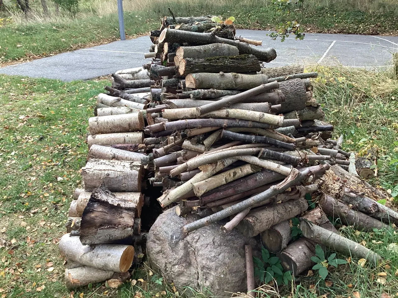 Billede 6 - Firewood