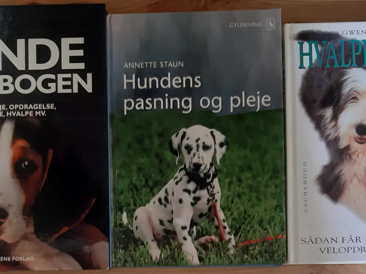 Billede 1 - Hundebøger 3 stk. samlet.