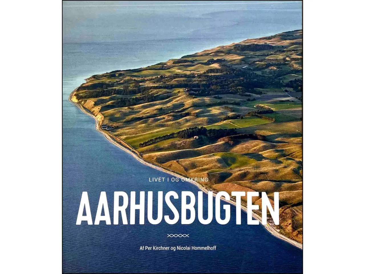 Billede 1 - Livet i og omkring Aarhusbugten