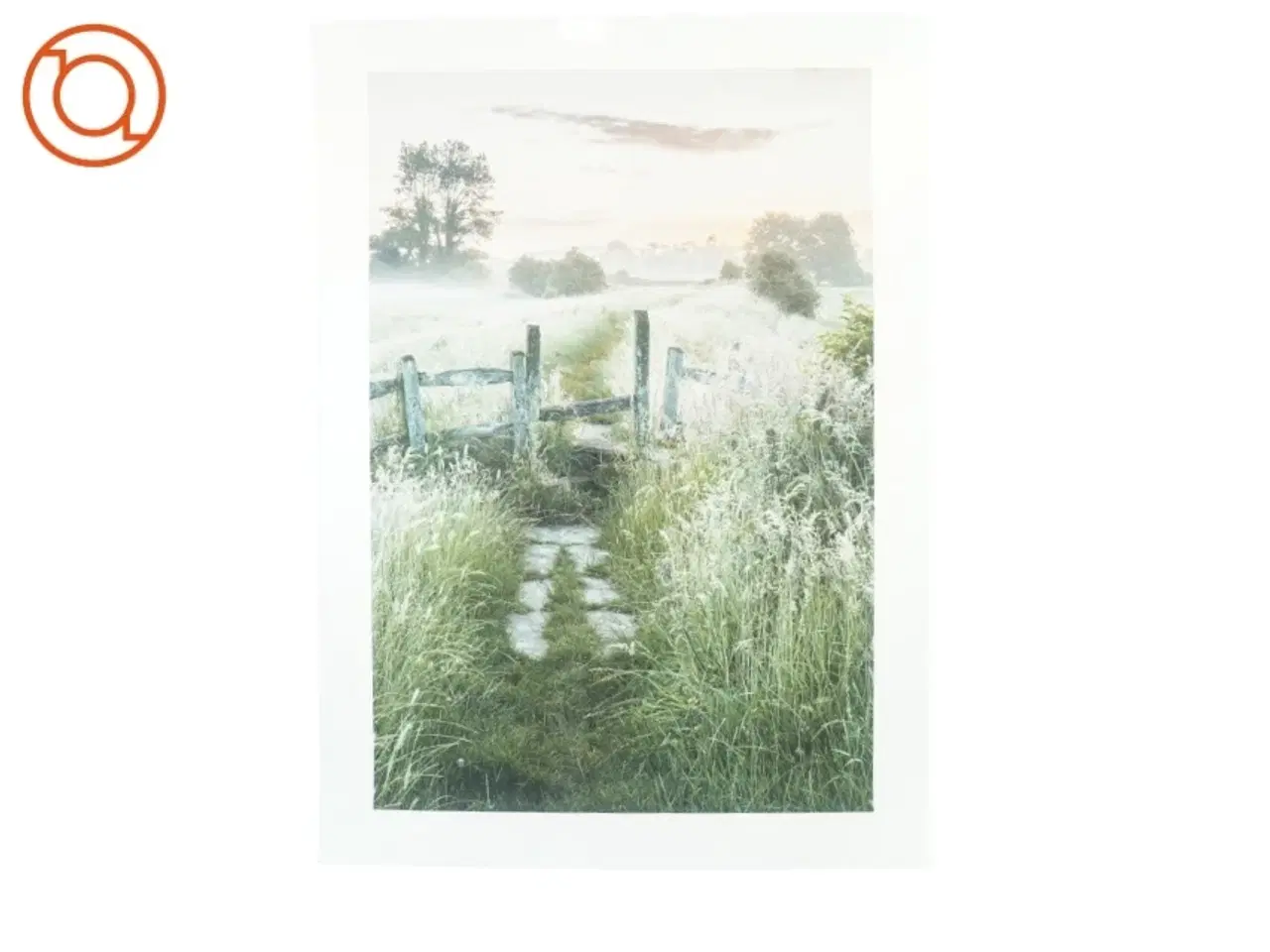 Billede 1 - Plakat (str. 50 x 70 cm)