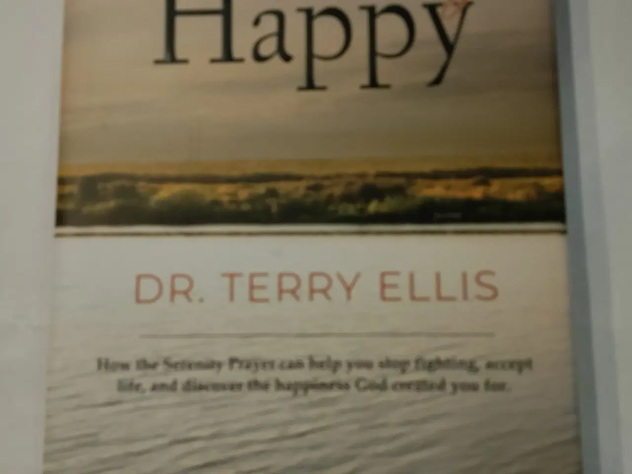 Billede 1 - Reasonably Happy, Terry Ellis