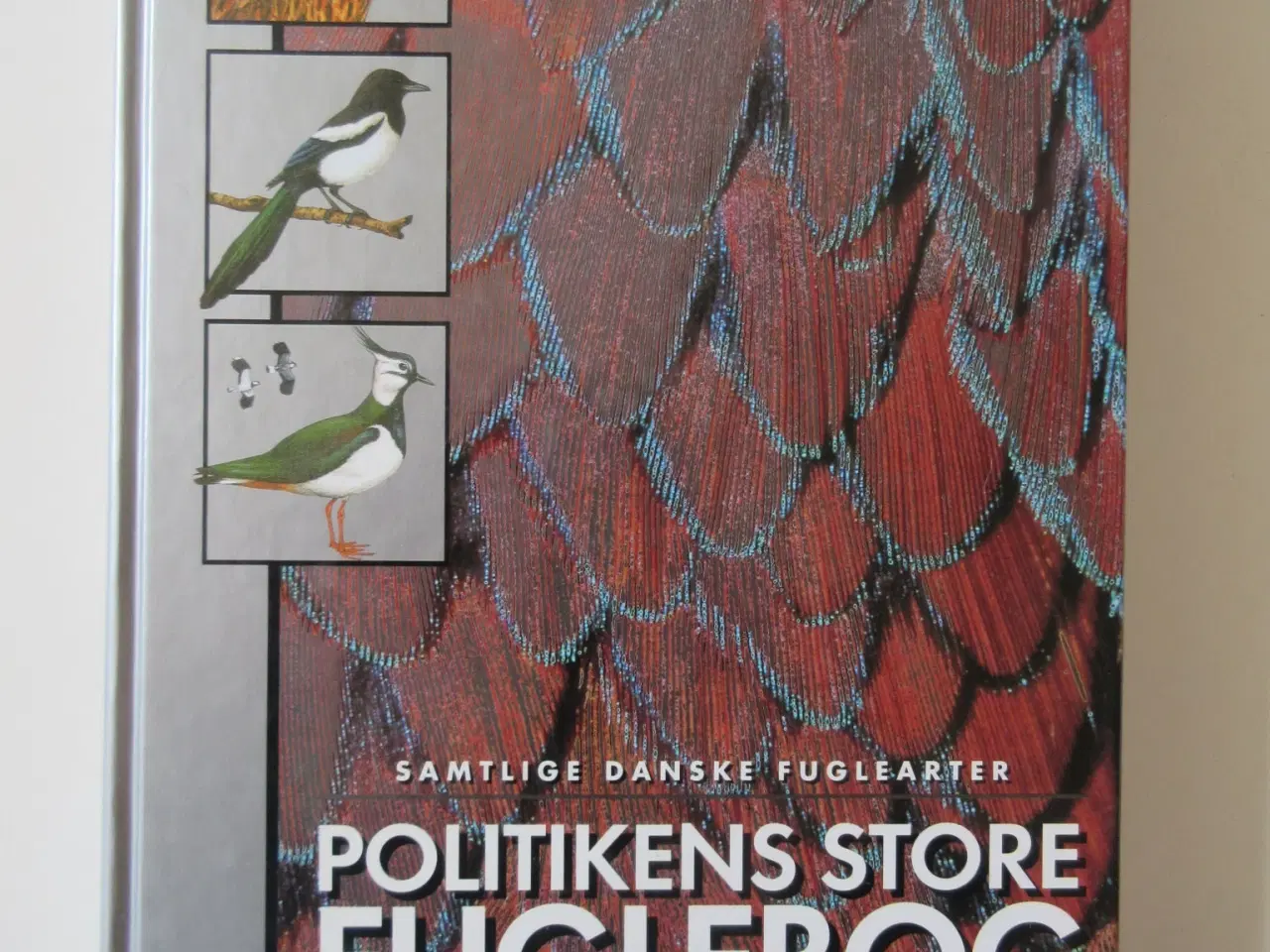 Billede 2 - 7 natur bøger fra Politikkens forlag