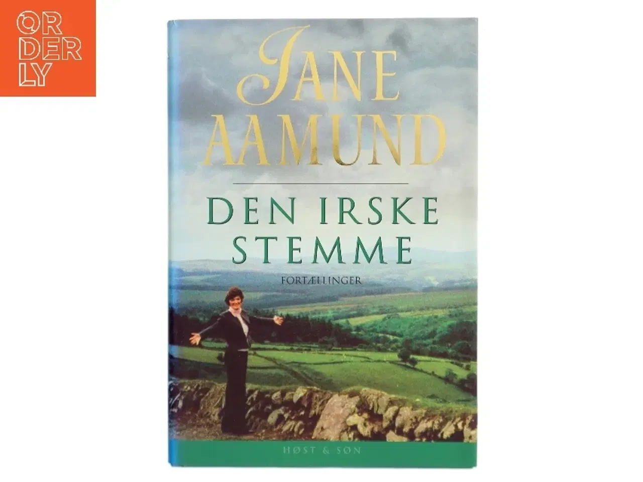 Billede 1 - Den irske stemme : fortællinger af Jane Aamund (Bog)