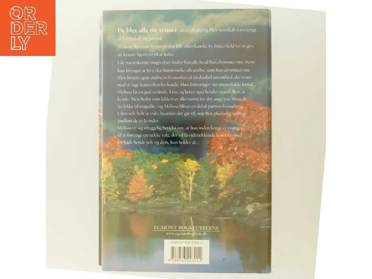 Billede 3 - Rør himlen af Susan Madison (Bog)