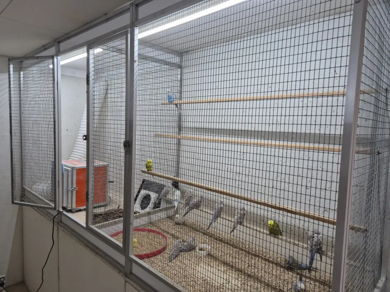 Billede 1 - front til indendørs volierer