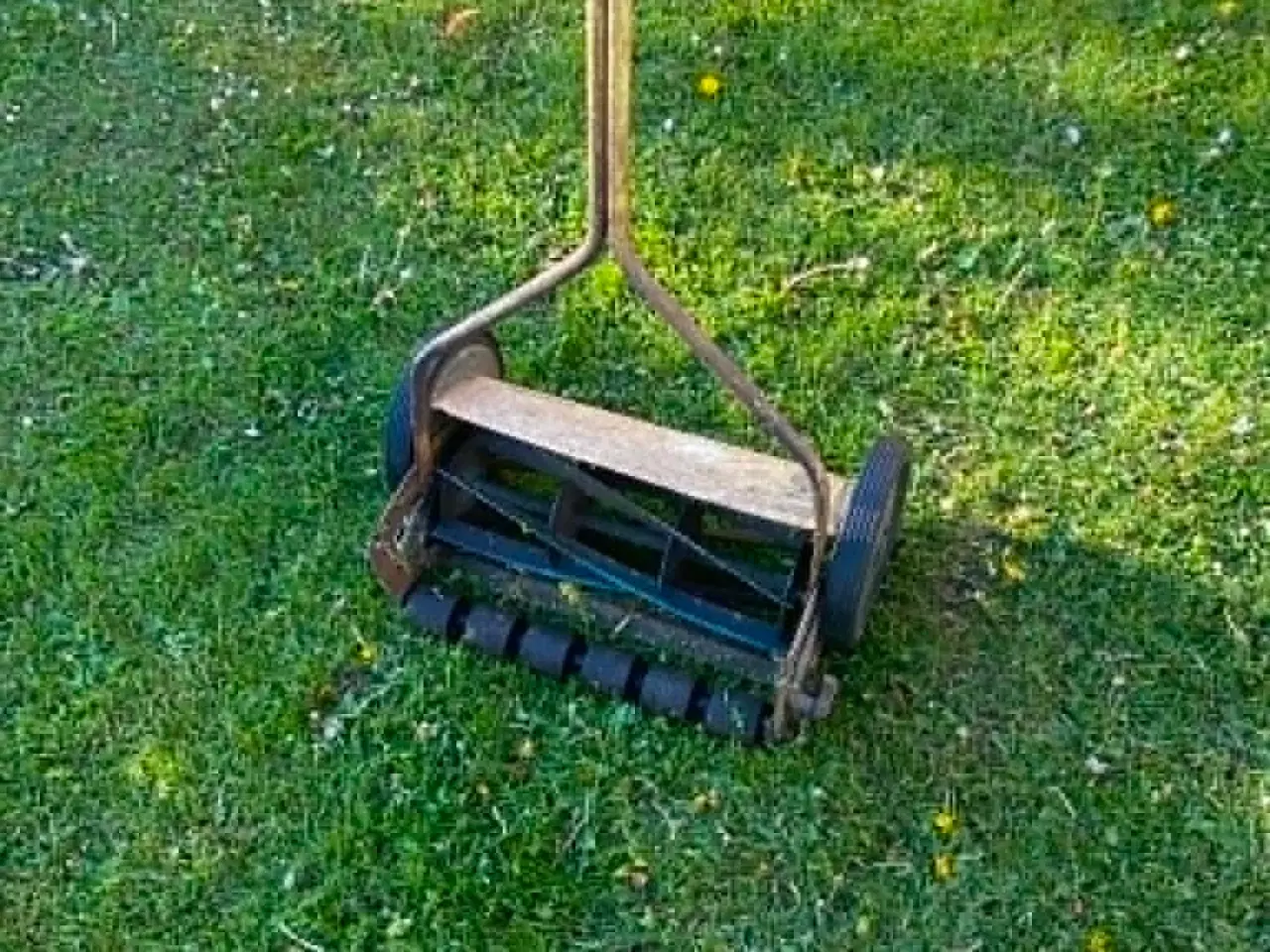 Billede 4 - Cylinderklipper